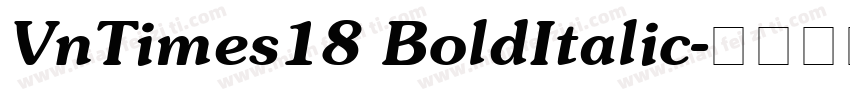 VnTimes18 BoldItalic字体转换